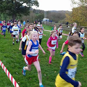 Junior Academy cross country meet